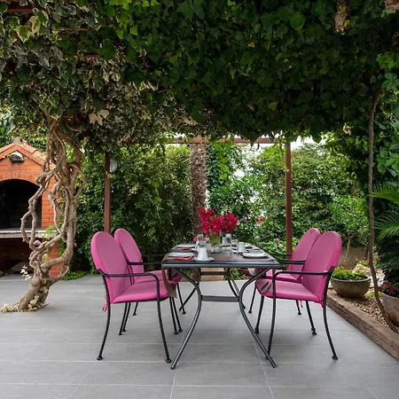 Pinocchio 호텔